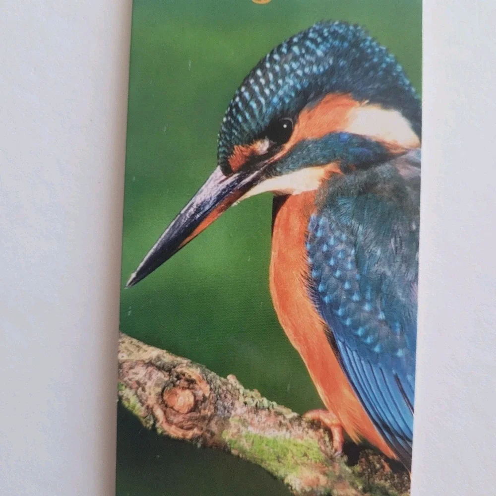 Cardmarks Kingfisher Bird Wild Nature Magnetic Magnet UK Company If 2402 Y2k 00s